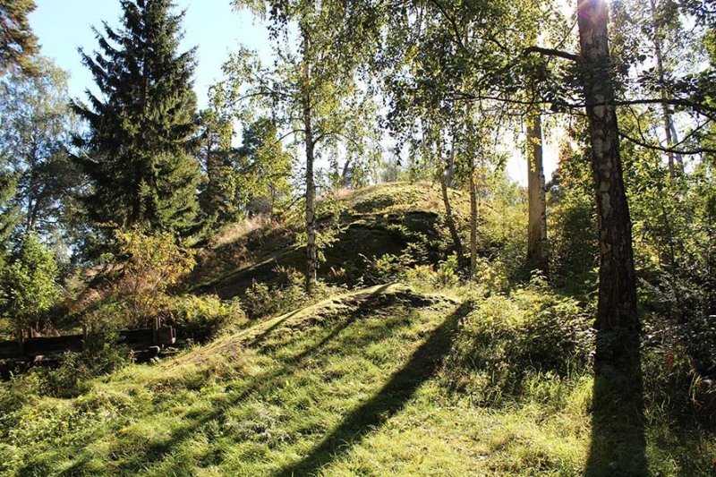 Wald